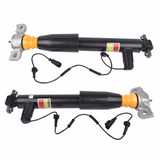 Pair Rear L+R Shock Absorber Struts Assys For Lincoln MKZ 2.0L 3.7L 2013-2020 Gas Electric